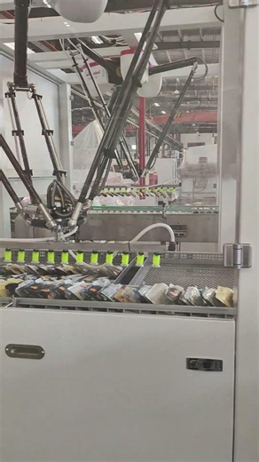 automatic tray placement, industrial automation, tray loading system, pick-and-place robot.
