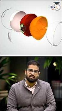 How can Elon Musk's "Neurolink" change Human Eyes Forever 👀? #shorts #upsc #science