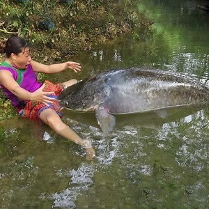Fishing Big Fish At The River And Cooking Fish - Eating Delicious 🥰🥰🥰🥰 | Survival Challenges