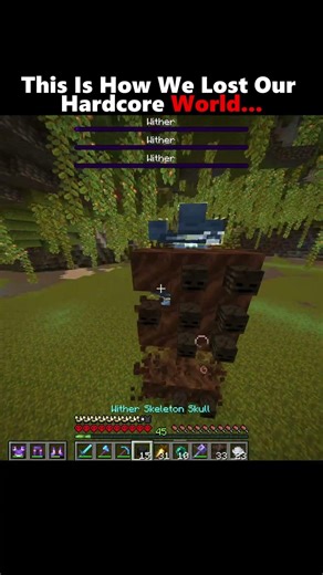 This Is How We Lost Our Hardcore World...#minecraft