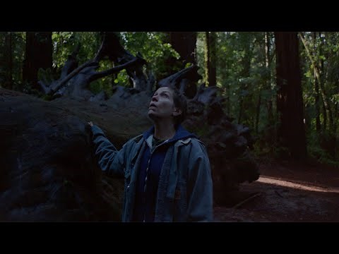 Nomadland | Sonnet 18