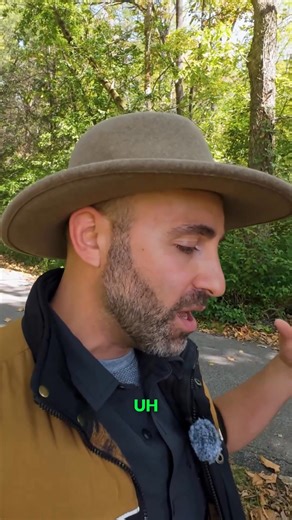 What happens when you get into the sting zone? #aftermath #experiment #wildlife #coyotepeterson | Coyote Peterson