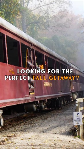 1.9K views · 4.6K reactions |  Fall colors don’t last forever — and neither do seats! Make this season unforgettable with a scenic ride through the Smokies aboard the Great Smoky Mountains Railroad. ️ Secure your spot now → hive.co/l/3x7uxx #FallIntoFun #GSMR #FallInTheSmokies #VisitNC #VisitSmokies #TrainRideWithAView | Great Smoky Mountains Railroad | Facebook