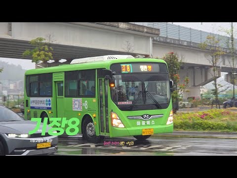 [4K] 일광 신도시의 유일한 마을버스 | 부산 기장 8번 버스