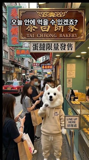 집 나온김에 세계일주 ✈️ - 홍콩편