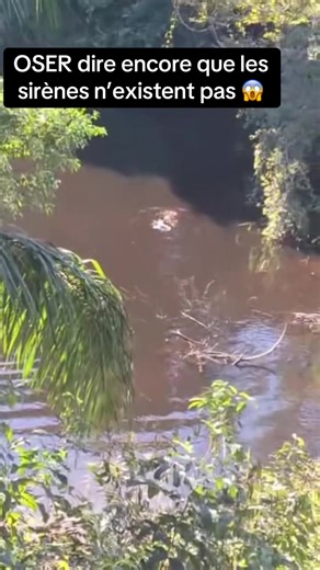 Les Sirènes: Mythe ou Réalité?