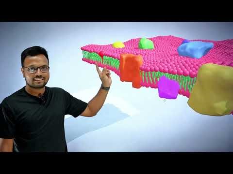কোষঝিল্লি ll Cell Membrane ll Compact Bio Shorts ll Dr. Rizvi