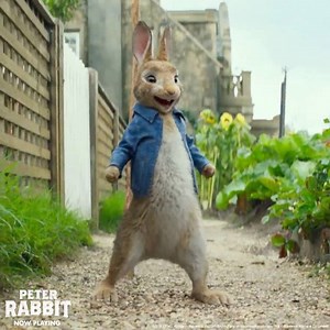 10K views · 345 reactions | Entering the theater for #PeterRabbitMovie like… bit.ly/PeterRabbitTix  | Peter Rabbit Movie | Facebook
