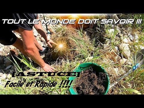 ORPAILLAGE : Comment Trouver De L'OR Rapidement Et Facilement