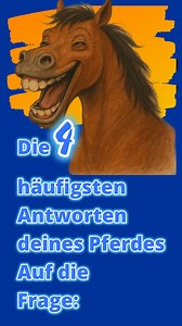 „Wer lang frägt, geht lang irr“ | Michael Geitner
