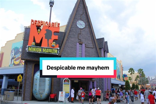 Despicable Me Minion Mayhem Party Experience