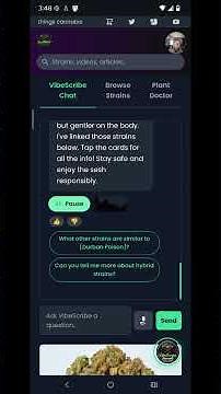 AI Budtender Explains the Difference Between Blue Dream and Durban Poison Meet VibeScribe