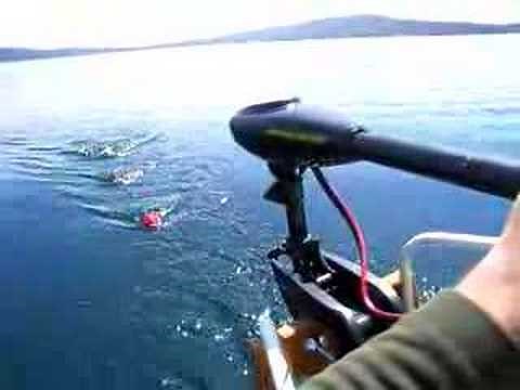 Fishing on an Intex Inflatable with 55 lbs trolling motor
