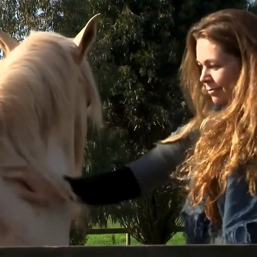 Learn Equine Assisted Psychotherapy with us. Study a specialist...