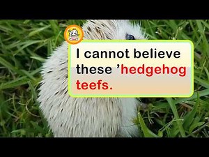 Tiny Things That Are Almost Too Cute to Be Real