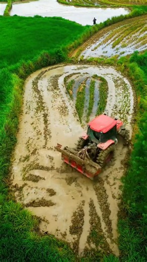 Work To Feed The World. 🌍💚