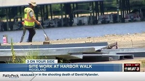 Old Dock environmental clean-up could lead to new Reservior development