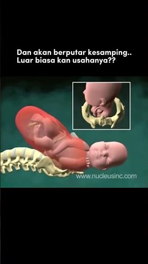Beginilah proses kelahiran bayi!