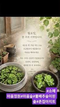 #소예의 #gardening
