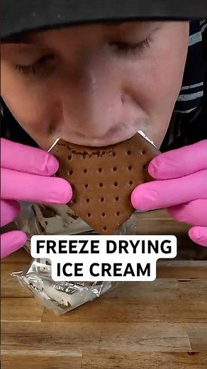 Do Ice Cream Freeze Dry?