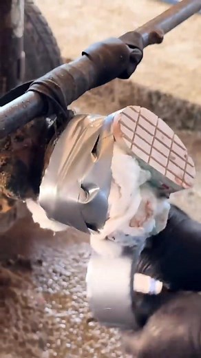 Hoof BURSTS with Bubbles #TheHoofHarmony #HoofHarmonyCare #HoofHarmonySpa #HarmonyHooves #HoofCareRoutine #HealthyHooves #HoofCleaning #HoofTransformation #HoofGlowUp #SatisfyingHoofCare #HoofCareStudio #HoofCareHub #DeepHoofCleaning #HoofShine #HoofASMR #HoofCareVideos #HoofCareLovers #HoofCareDaily #HoofCareExperts #HoofCareSatisfaction #HoofCareCommunity #HoofCareTips #HoofCareTherapy #RelaxingHoofCare #HoofCareMagic #HoofCareVibes #HoofCareWorks #HoofCareJourney #HoofCareClinic #HoofCareTool