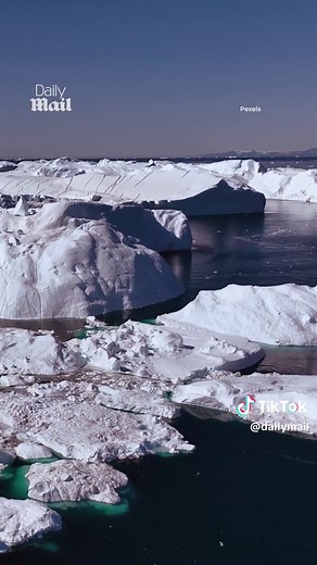 Earth's population currently sits at 8.3 billion people – but it's set to get much bigger. That's according to scientists from Flinders University, who have estimated the peak population for our planet. Based on current trends, the researchers say that the number of people on Earth could hit a staggering 12.4 billion by the late 2070s. This is 'dangerous', according to the experts – who warn we're already pushing Earth past its breaking point. #earth #population #research