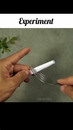 Science Experiment #shortvideo