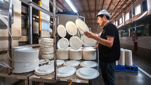 Bamboo instead of plastic: China's ongoing green transition