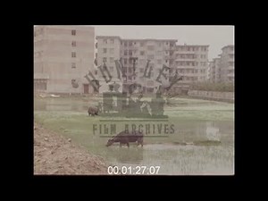 Shenzhen, China, 1980s - Film 1031361