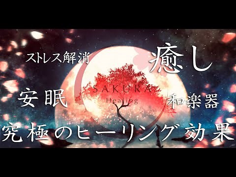 桜men / 自律神経が整う究極のヒーリングミュージック「SAKURA Healing」