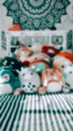 Squishmallow Collector Showcase: Favorite & Rare Finds