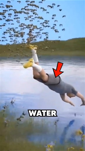 How to Escape a Swarm of Bee's 🐝