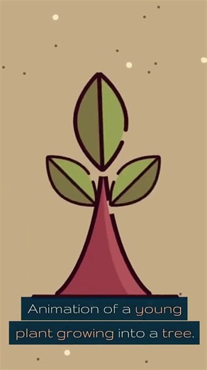 Environmental Liability Insurance A Sustainable Choice