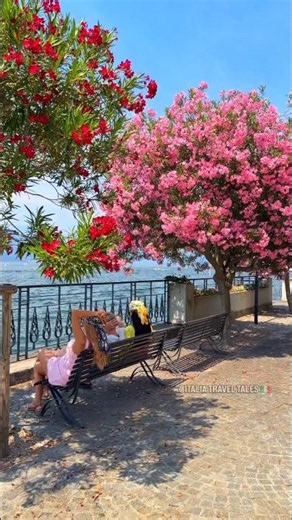 Summer in Full Bloom: Bellagio, Lake Como 🌸 🌸 🌸 #italytravel #lakecomo #Bellagio #BellagioItaly