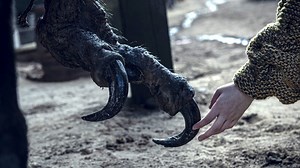 Netflix's The Witcher: Striga, Kikimora and Every Other Monster