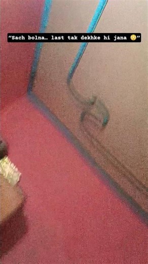 Chand Taare Phool Shabnam… 😳❤️ | Ye feel alag hi hai #shorts