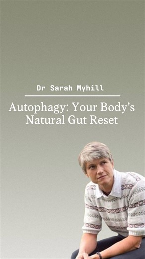 146K views · 2.1K reactions | 裂 Your gut heals best when it gets a...