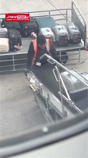 Viral η τρυφερή υποδοχή αδέσποτων γατών στο «Ελευθέριος Βενιζέλος»