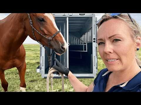 How To Load A Difficult Horse Onto A Trailer | Part 1!