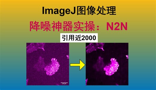 『超实用』ImageJ 降噪神器Noise2Noise简介与实操-西西弗斯摆了算了-学习-哔哩哔哩视频