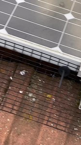 SOLAR PANEL PIGEON PROOFING SERVICES !(Pest management services with over 680 5⭐️⭐️⭐️⭐️⭐️ Reviews on Google/Facebook✅!)🐦🐦🐦🐦🐦🐦🐦🐦🐦🐦🐦🐦🐦🐦🐦🐦🐦 Pigeons love the warmth and shelter that solar panels offer. Unfortunately, that leads to blocked gutters, damaged wiring, and serious hygiene issues from droppings and nesting debris. Without proper deterrents, the problem only gets worse each year — and can even affect your solar efficiency. FED UP WITH FERAL PIGEONS CONSTANTLY COOING UNDERNE