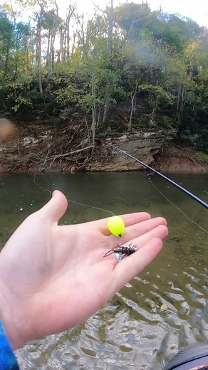 NRV Baits: Float Rig! Everything You Need to hit the water!!! #jesus #nrvbaits #fishtok #trout #fish #bigfish #rainbowtrout #lurefishing #smallbusiness #outdoors #catchandrelease #contentcreator #softplastics #hellbendernets #spinningreel #fishing #troutfishing #fyp #foryou #fypシ