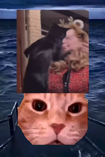 #cat #catmeme #meme #cats #catsoftiktok #catlover #cattok #catlovers #funny #video #laugh #laughing #reaction #viral #viralvideo #viraltiktok #trend #trendingvideo #dontlaughchallenge #lol #trending #trendy #trends #trendingtiktok #trendtiktok #trendtiktok #viral_video #viralvideos #viralditiktok #viralvideotiktok #f #fy #fyp #fypシ #fypシ゚viral #fyppppppppppppppppppppppp #fypdongggggggg #fypage #fypp #fyy #fyyyyyyyyyyyyyyyy #fo #foryou #foryoupage #foryourpage #fouryou #wow #omg #wtf #what #tf #m