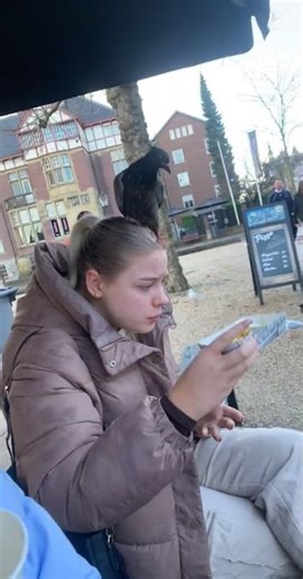 Doves swarm a woman's head as she eats chips in Amsterdam