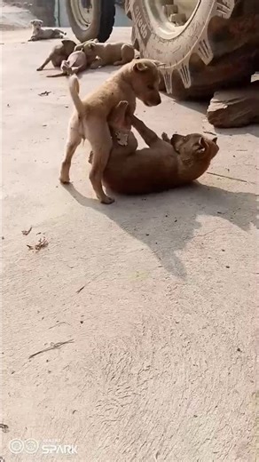 hum to मान ja 😂#instagood #adorable