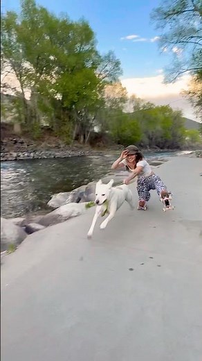Full speed ahead Lilo🐶 skate tow by the river 🥹💐🛼🌞🕊️ #rollerskating #dog #skate