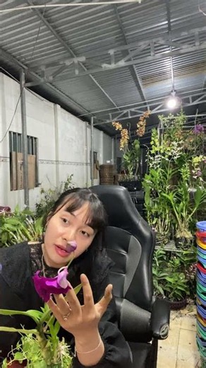 (Orchid Bloom Reference) Hotline: 090.317.7978 ☎️☎️