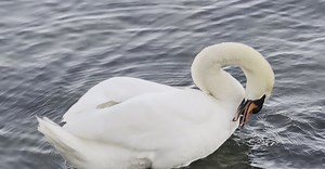 Video by Physical  Pixel on Pexels