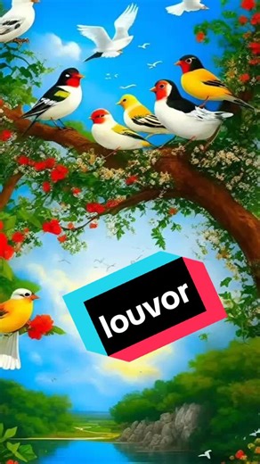 Os vídeos de Lenice de Paula (@lenice0208) com som original - Aparecida Medeiros