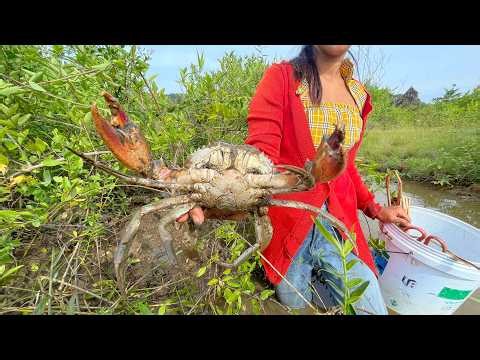 Secret Spot Revealed! Huge Mud Crabs Under Mangroves | A Lot Of Sea Crabs | Fishing Crabs by Skills